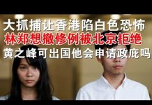 郭宝胜:大抓捕让香港陷白色恐怖、黄之峰保释可出国他会申请政庇吗?林郑想撤修例被北京拒绝