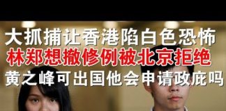 郭宝胜:大抓捕让香港陷白色恐怖、黄之峰保释可出国他会申请政庇吗?林郑想撤修例被北京拒绝