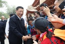 邱家军:習近平偽服私訪,保鏢擊退刺客,群眾演員晃圈