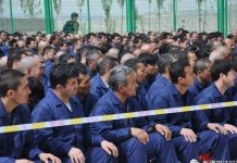 中美对抗29:习近平已成过街老鼠!欧盟人权组织:中国对全球人权的威胁正在日益加剧