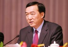 当代国际小丑:“盖世太保”陈全国