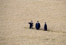 中国观察:老百姓又惨了,中共突然推出重大土地制度改革,意在收农田税!
