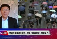 时事大家谈:全球声援香港反送中 中国“爱国粉红”纷出笼?