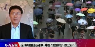 时事大家谈:全球声援香港反送中 中国“爱国粉红”纷出笼?