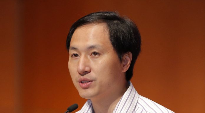 当代国际小丑:“孔雀哥”贺建奎