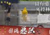 关注香港反送中8:6.15香港出现第一位“反送中”自杀明志的义士