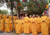 少林寺16名武僧涉黑,释永旭资产超千万