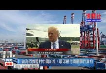 夏业良:川普为何推迟对中国加税?环球网付国豪事件真相