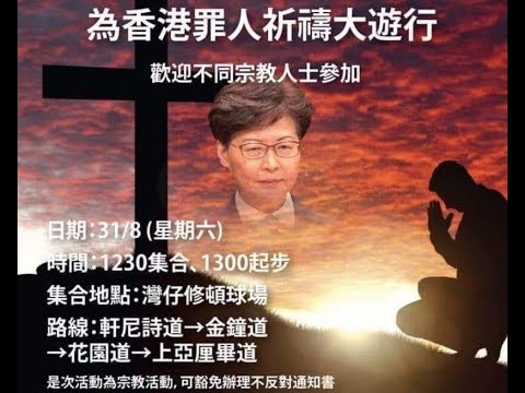 吴建民:中共在香港大抓捕,林郑高喊:抓到一个不剩。831大游行,撒旦在召唤林郑!