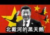 张杰:中共窥视香港磨刀霍霍 北戴河会议意见分歧?三种意见哪个占上风?