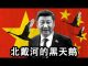 张杰:中共窥视香港磨刀霍霍 北戴河会议意见分歧?三种意见哪个占上风?