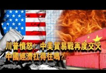 夏业良:川普愤怒!中美贸易战再度交火 中国经济扛得住吗?