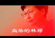 吴建民:血染的林郑要染红香港,独裁者和他的走狗只听得懂枪响!