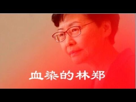 吴建民:血染的林郑要染红香港,独裁者和他的走狗只听得懂枪响!