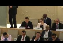 杨建利博士在联合国人权理事会发言实况(被中共代表打断三次)