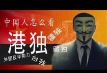 林林七:为什么有港独,台独?