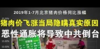 郭宝胜:猪肉价飞涨当局隐瞒真实原因、恶性通胀将导致中共倒台