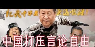 林林七:战狼式打压世界言论自由,中国输出文字狱