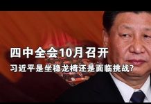 夏业良:四中全会10月召开 习近平是坐稳龙椅还是面临挑战?