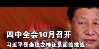 夏业良:四中全会10月召开 习近平是坐稳龙椅还是面临挑战?