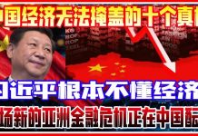 王劍:中国经济的十大真相,谁在故意误导民众?
