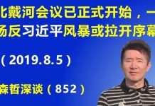 江森哲:北戴河会议已正式开始,一场反习近平“风暴”或拉开序幕