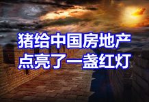 中国网事:没想到猪居然给中国房地产点亮了一盏红灯
