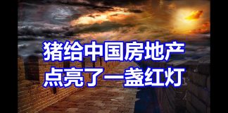 中国网事:没想到猪居然给中国房地产点亮了一盏红灯