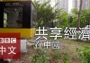 中国真相42:中国共享经济到底是怎么回事?