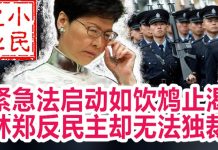 小民之心:紧急法启动如饮鸩止渴,林郑反民主却无法独裁