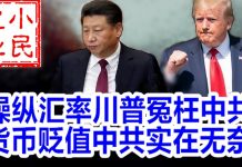 小民之心:操纵汇率川普冤枉中共 货币贬值中共实在无奈