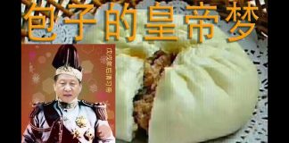 林林七:大陆人看习近平的皇帝梦(经典老视频)