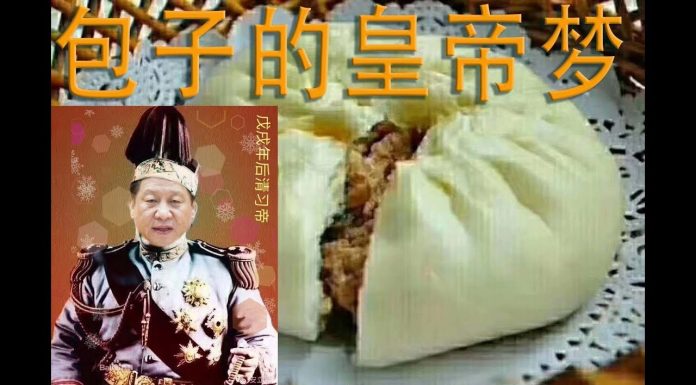 林林七:大陆人看习近平的皇帝梦(经典老视频)
