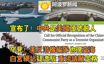 美反潜机编队现踪台海。美军将共军先进武器制作扑克牌供识别,习近平开始享受萨达姆待遇!