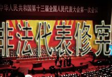 林林七:大陆公民反对伪代表非法修宪