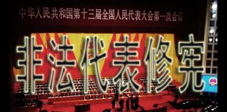 林林七:大陆公民反对伪代表非法修宪