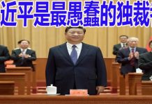外媒看习近平5:华盛顿邮报:习近平最终可能“被迫下台”