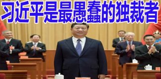 外媒看习近平5:华盛顿邮报:习近平最终可能“被迫下台”