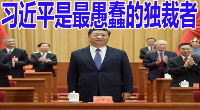 外媒看习近平5:华盛顿邮报:习近平最终可能“被迫下台”