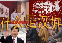 林林七:大陆人说谁是汉奸,卖国贼?