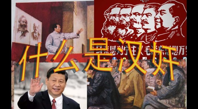 林林七:大陆人说谁是汉奸,卖国贼?