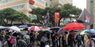 为民主自由而抗争,“929撑港·反极权” 台港大游行在雨中进行