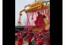 “一尊”坐轿过拱桥被摔个半死