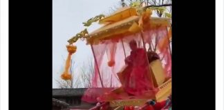 “一尊”坐轿过拱桥被摔个半死