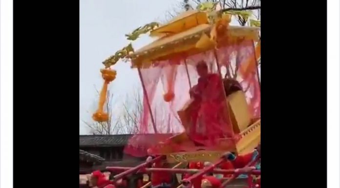 “一尊”坐轿过拱桥被摔个半死
