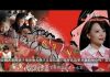 沉雁:董卿式爱国 谎言里开不出生命之花