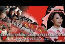 沉雁:董卿式爱国 谎言里开不出生命之花