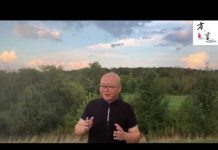 方砖:林郑月娥撤回送中条例,是妥协,还是另有目的