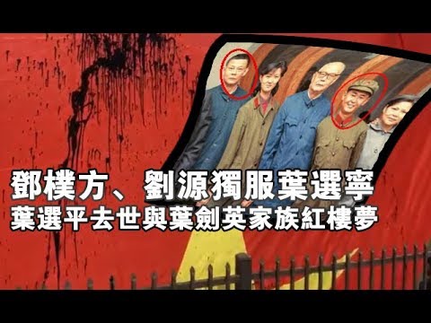 张杰:邓朴方、刘源独服叶选宁 叶选平去世与叶剑英家族红楼梦