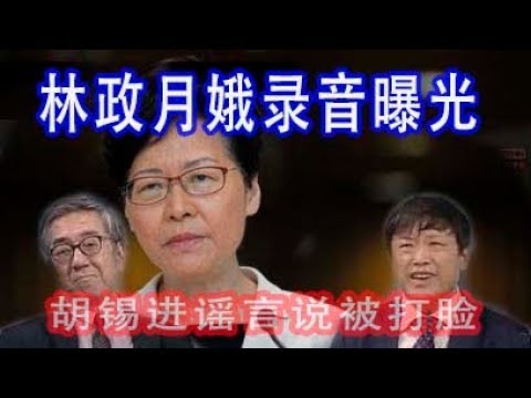 林林七:香港特首林郑月娥录音流出,胡锡进谎言被打脸